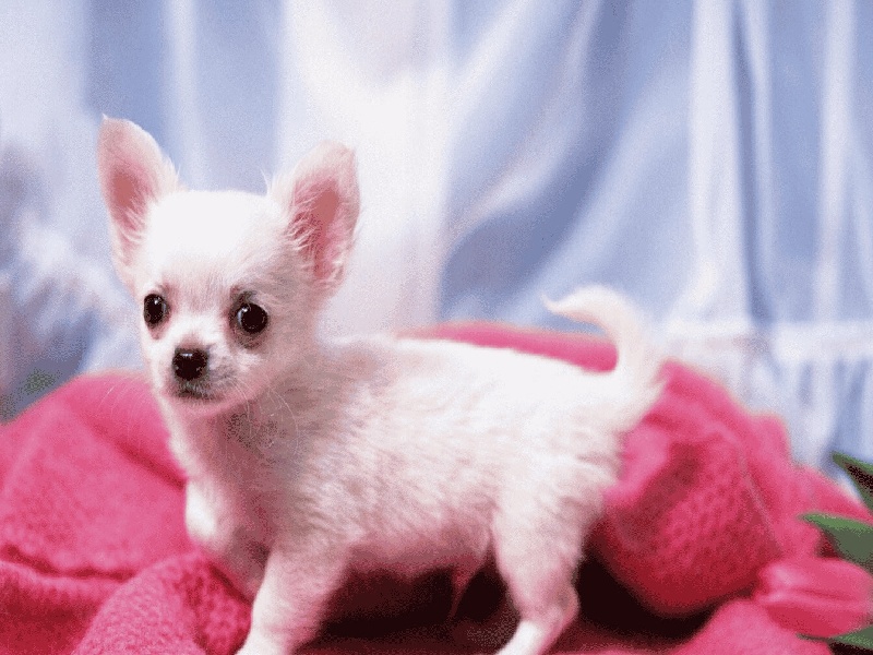 做试管前先建档试管移植减肥视频人民医院人工受孕费用